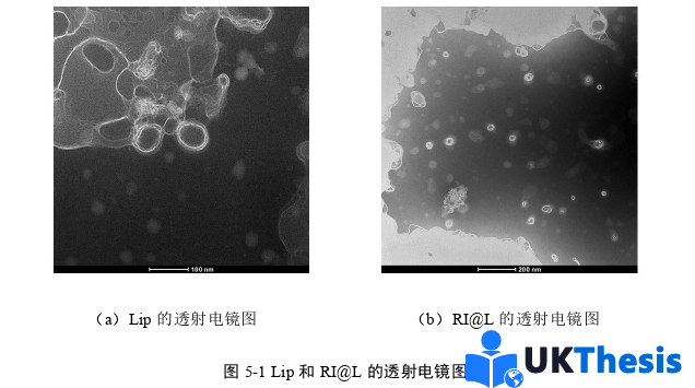 醫(yī)學類碩士論文怎么寫