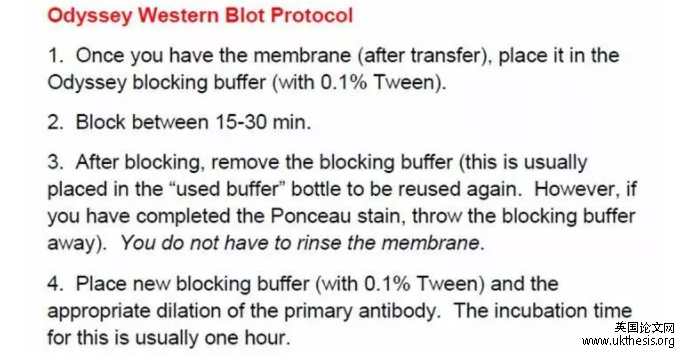 essay重復率降重技巧
